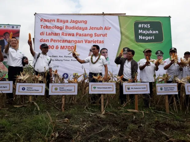 Moeldoko Panen Jagung di Tanjab Timur